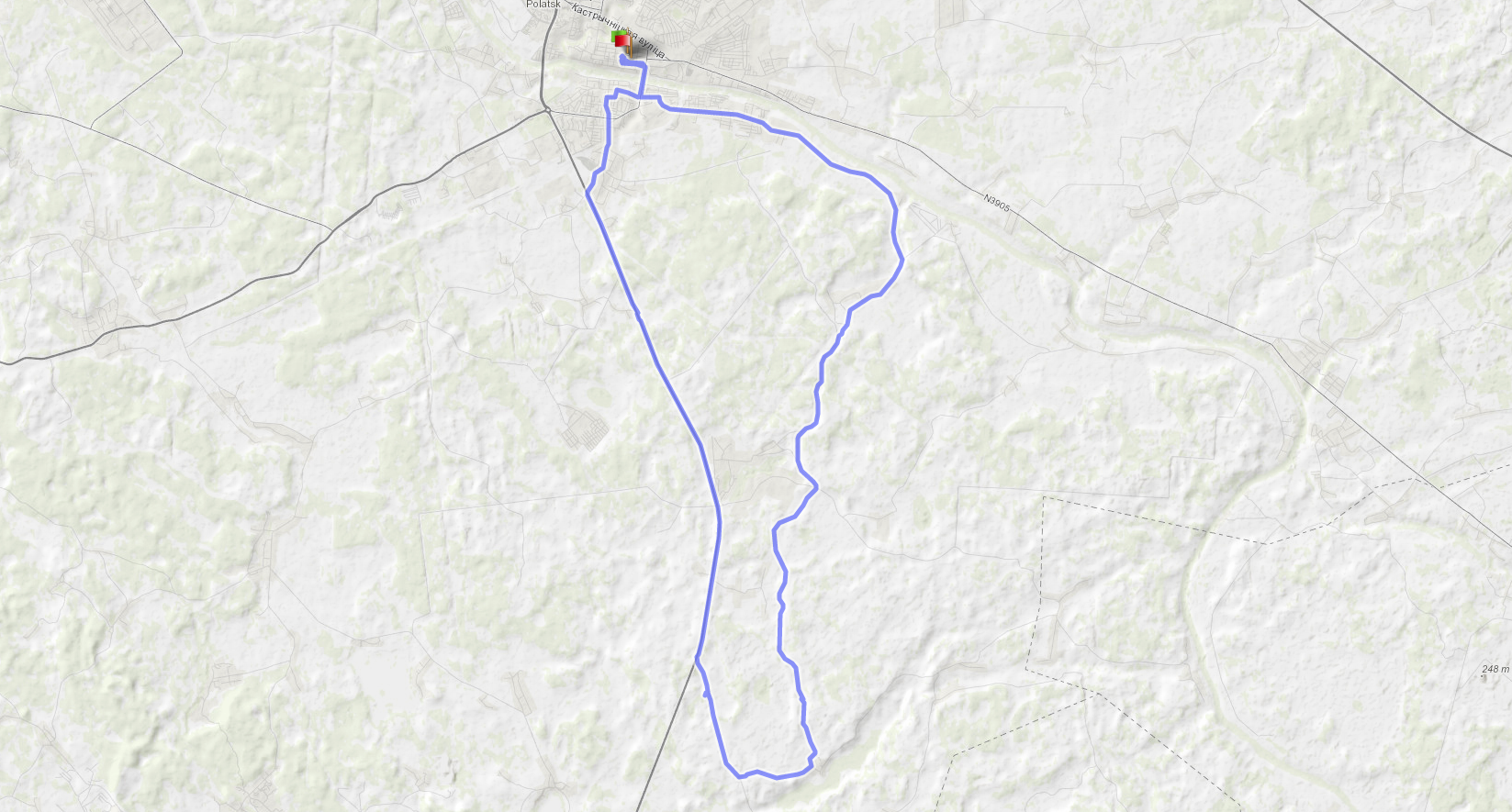 По партизанскому лесу