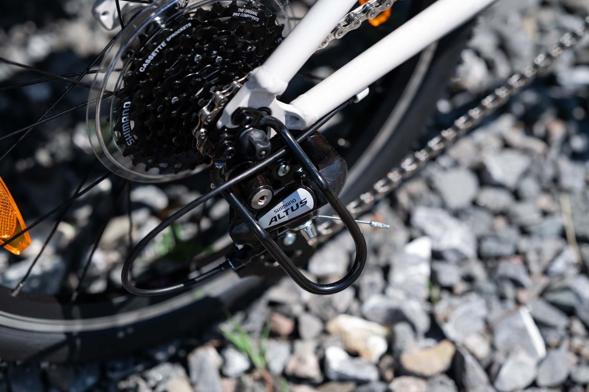 Велосипед GIANT ARX 24 Mushroom