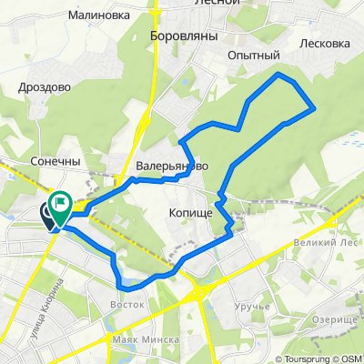 Копище, лесной маршрут