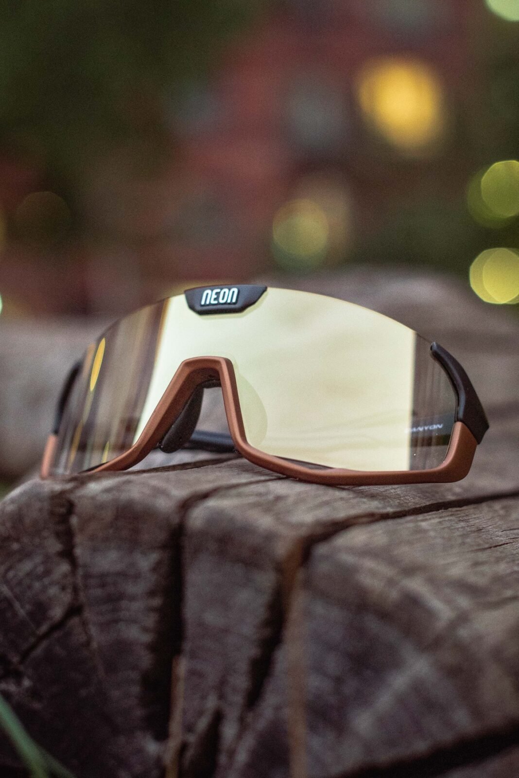 Очки Neon Canyon (Photochrom) Terra Black/Bronze