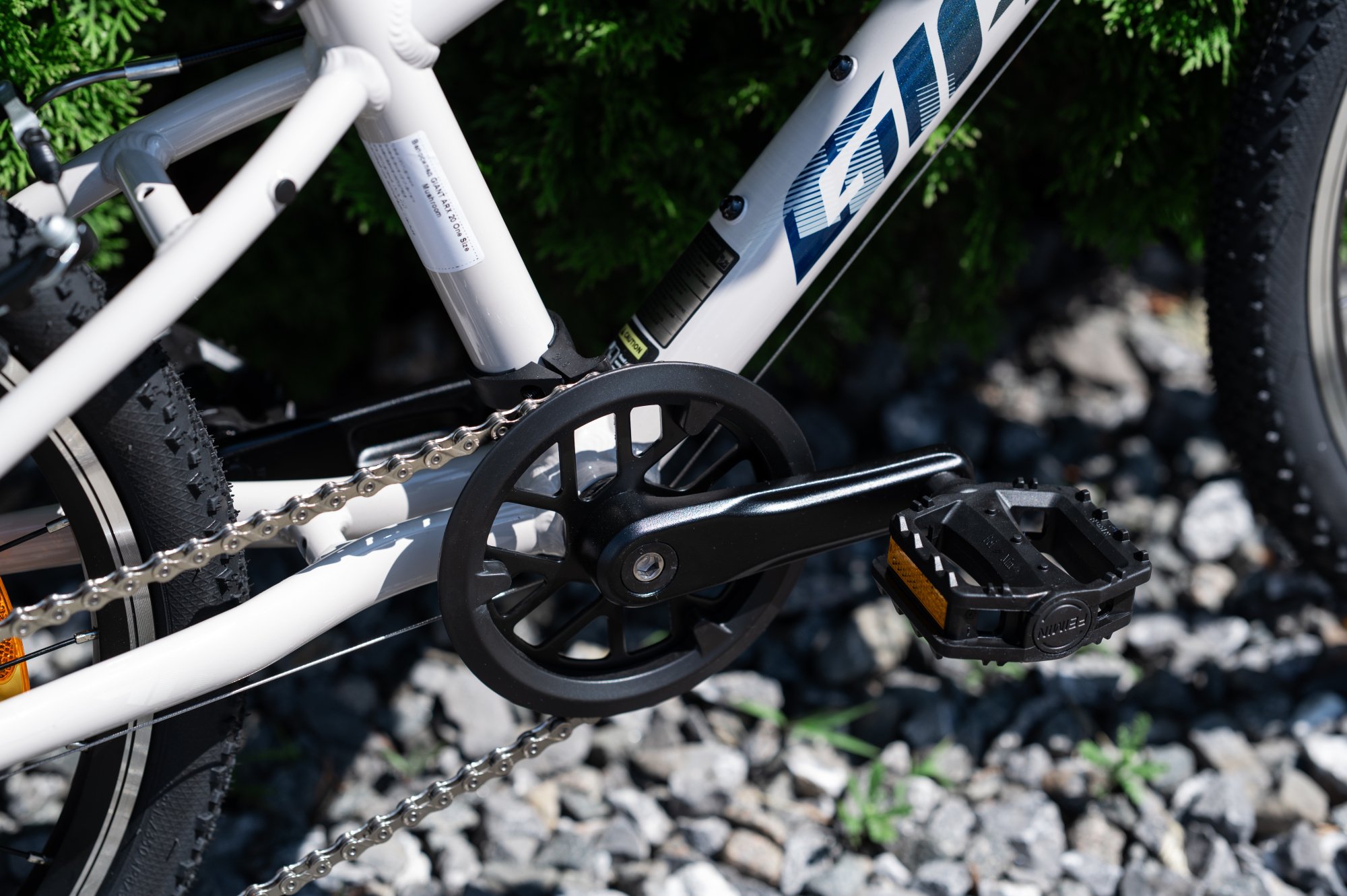 Велосипед GIANT ARX 20 Mushroom