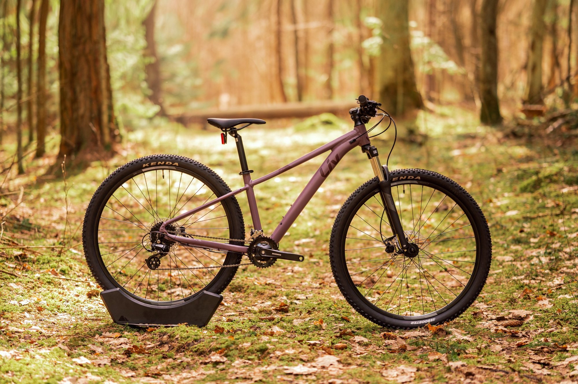 Велосипед Liv TEMPT 3