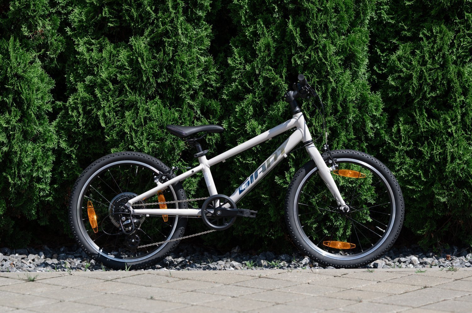 Велосипед GIANT ARX 20 Mushroom