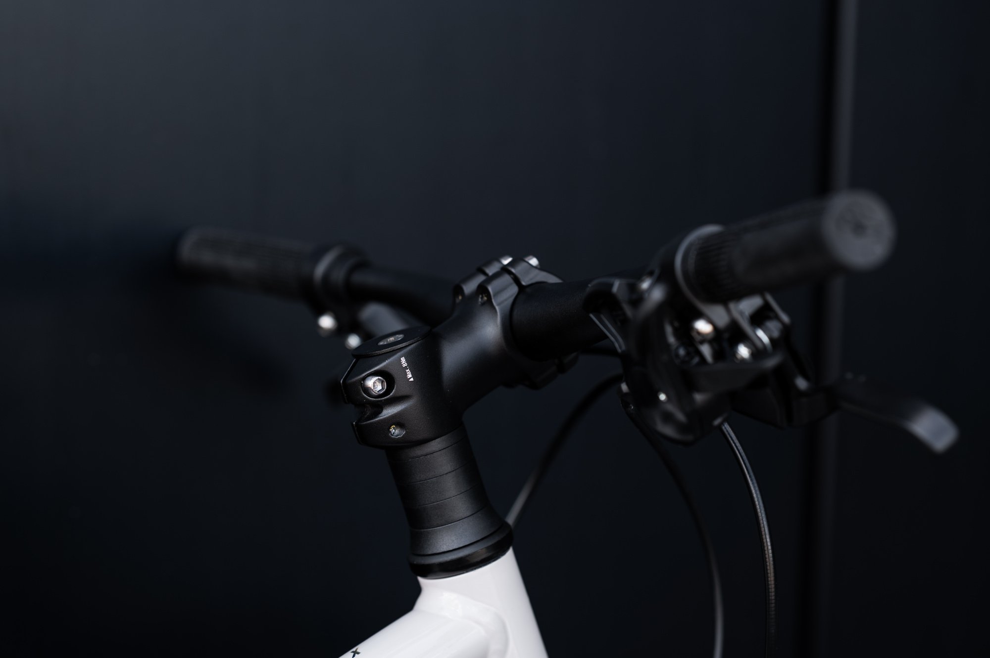 Велосипед GIANT ARX 24 Mushroom