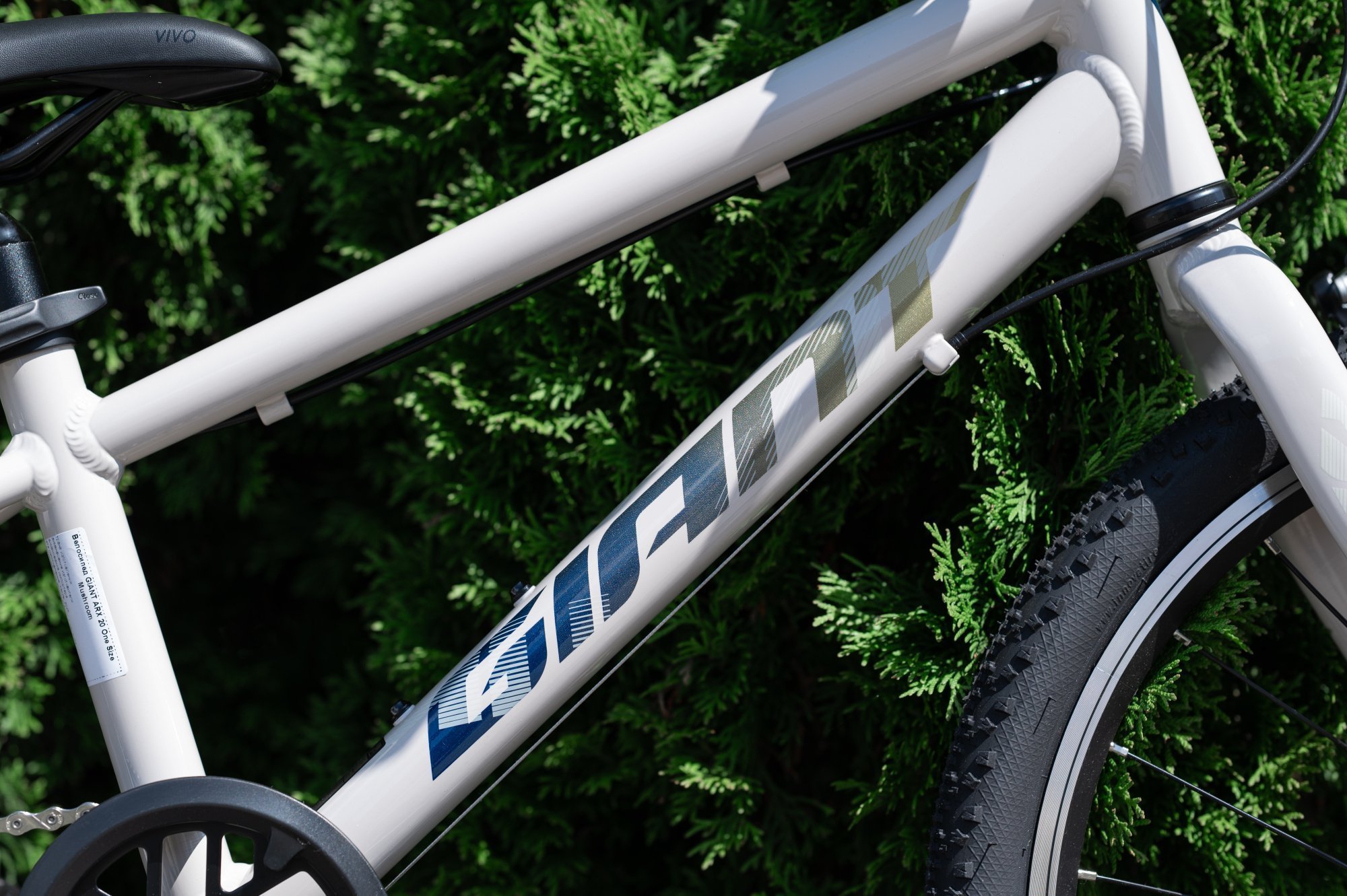 Велосипед GIANT ARX 20 Mushroom