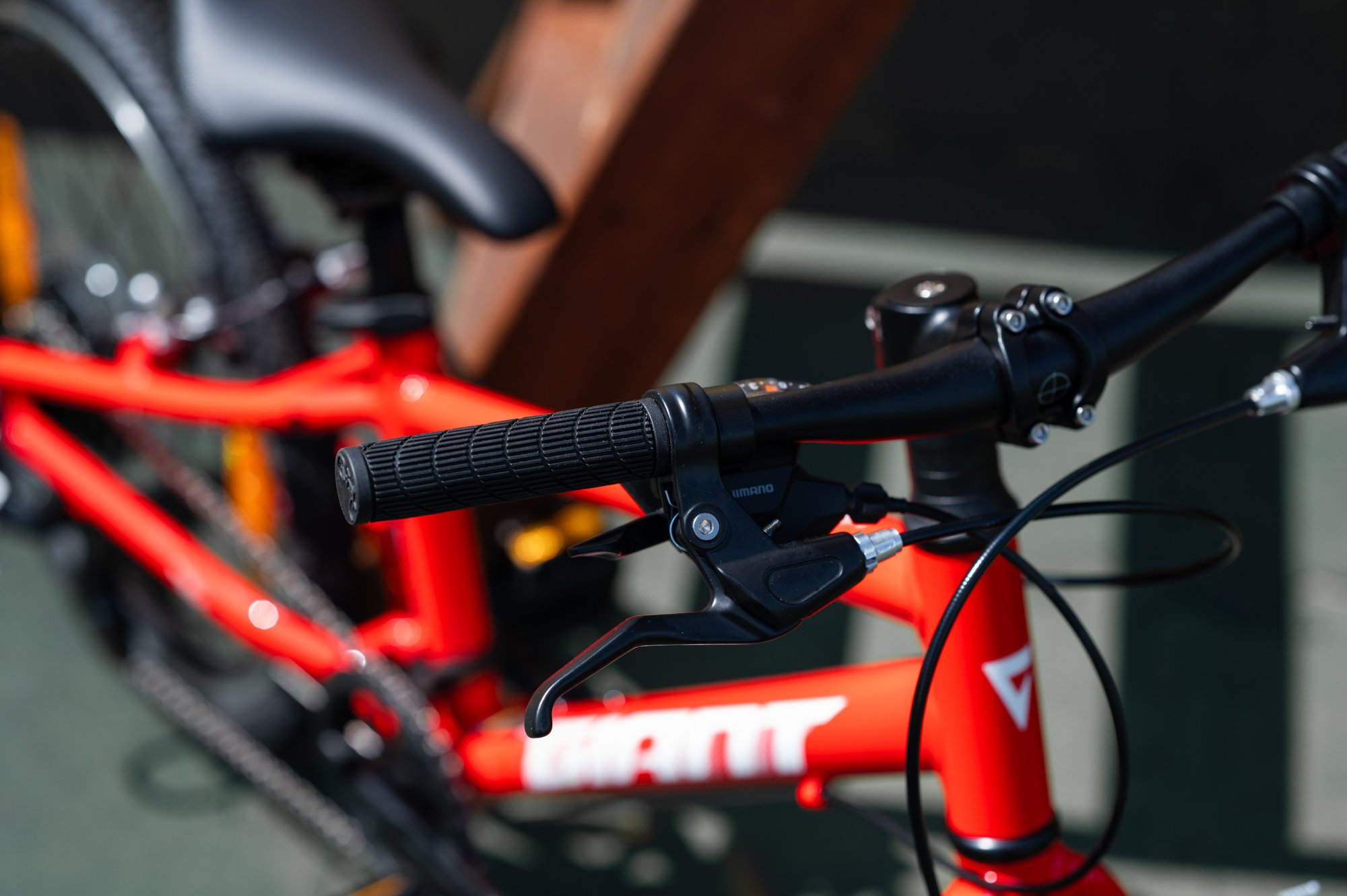 Велосипед GIANT ARX 20 Phoenix Fire