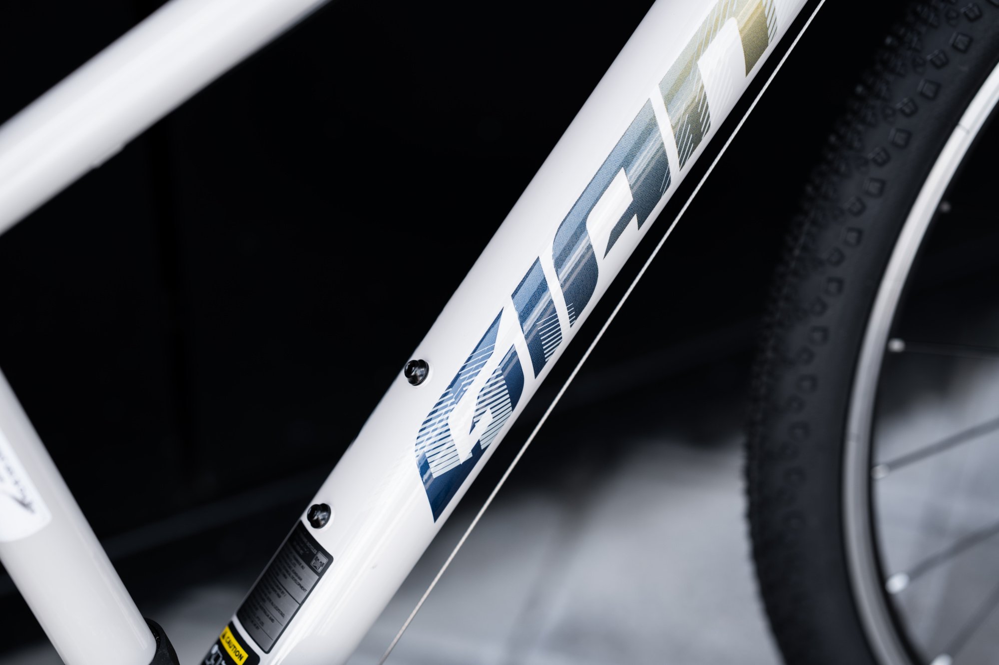 Велосипед GIANT ARX 24 Mushroom