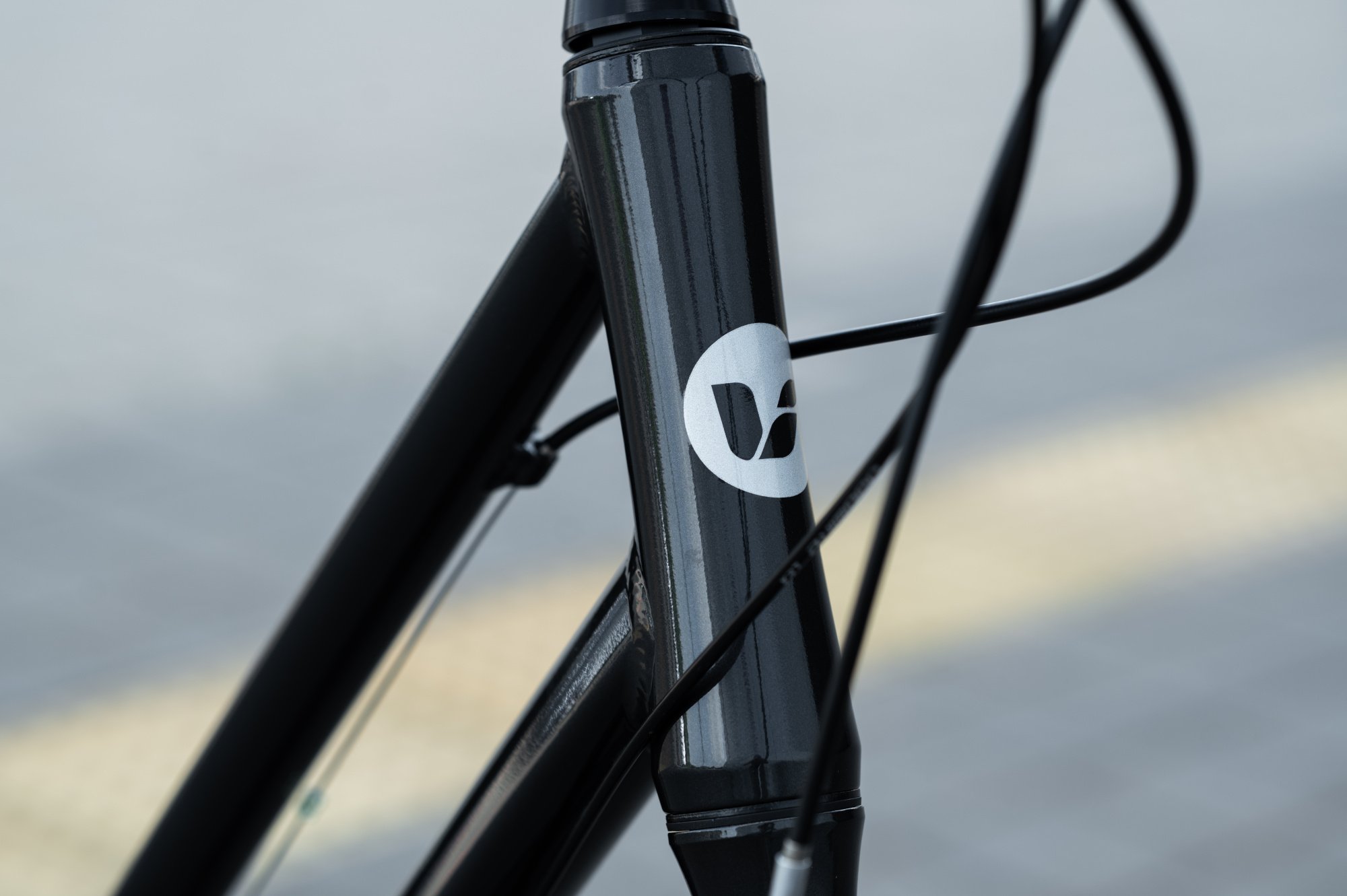 Велосипед Liv Flourish 3