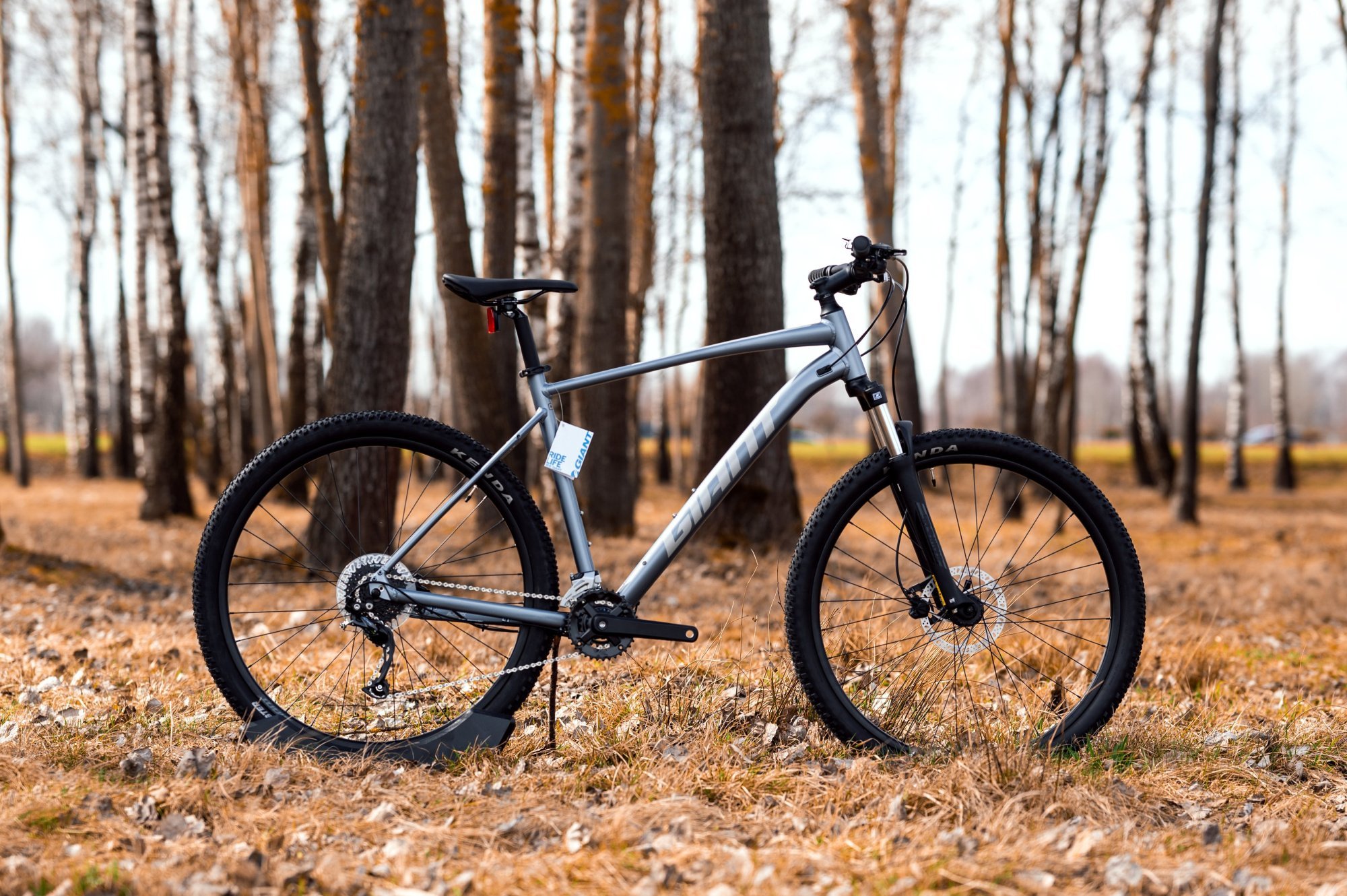 Велосипед Giant TALON 2