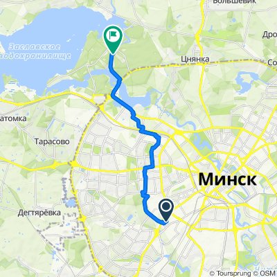 Слаломный канал