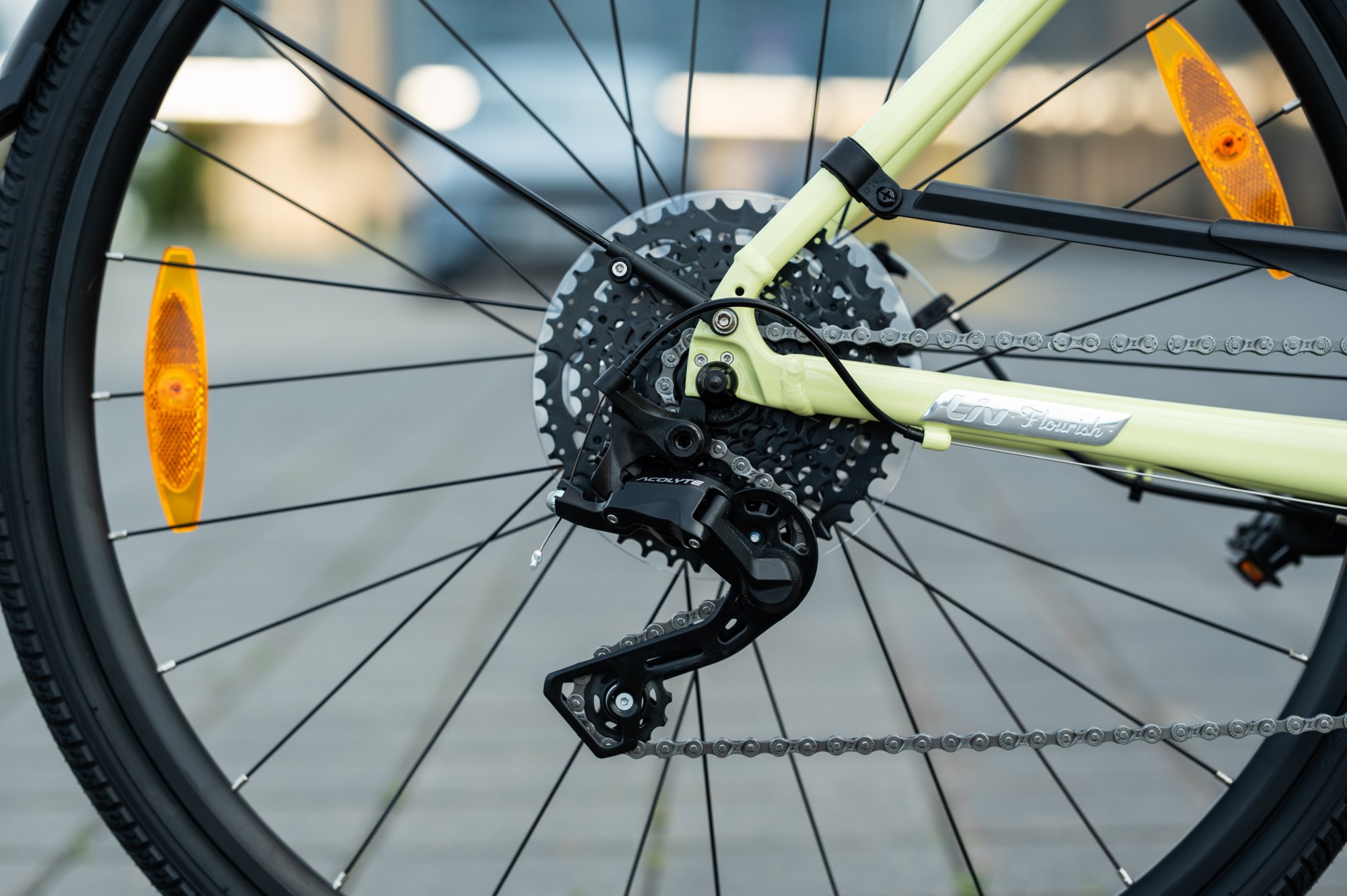 Велосипед Liv Flourish 3 Disc