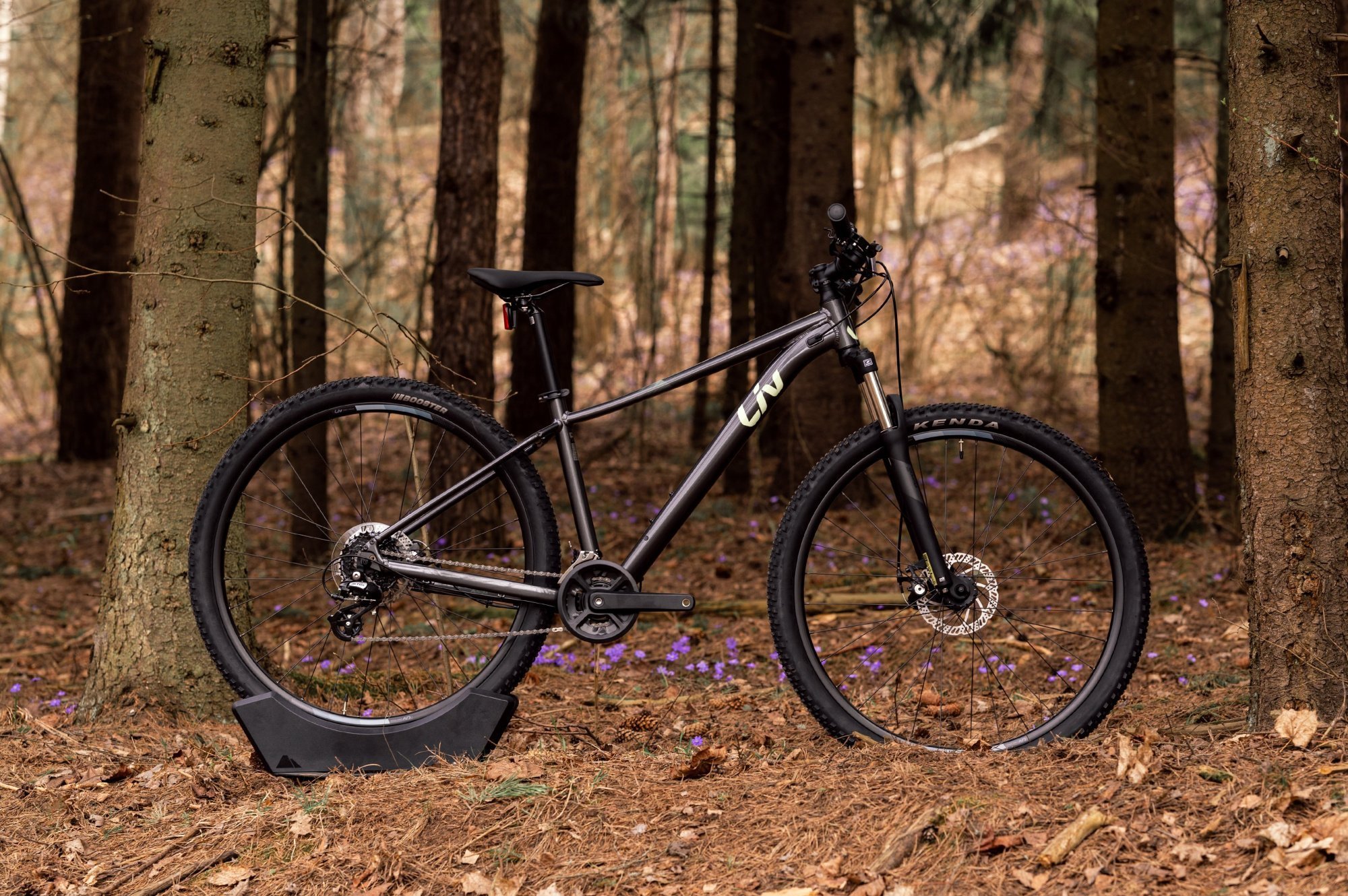 Велосипед Liv TEMPT 4