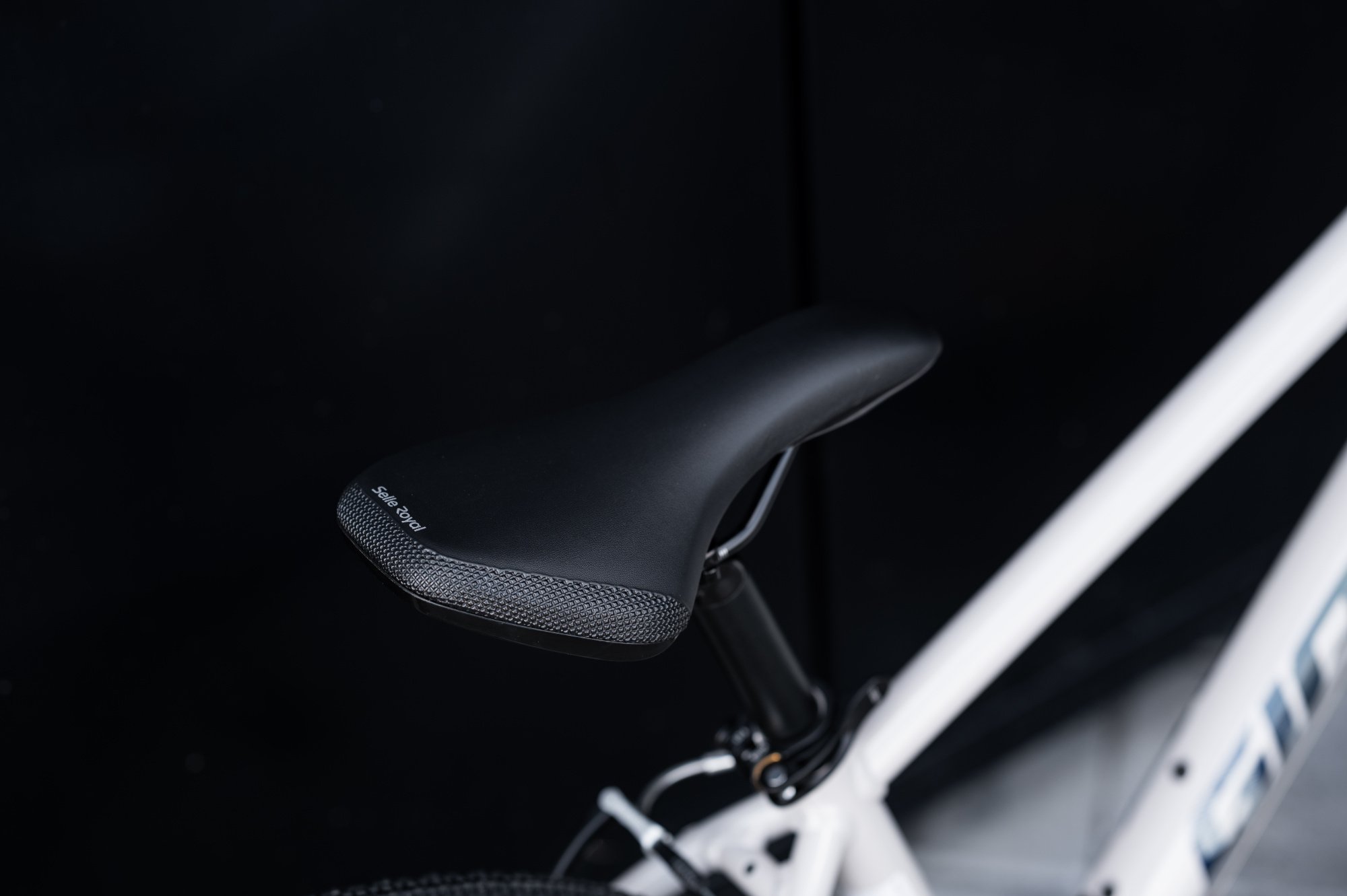 Велосипед GIANT ARX 24 Mushroom