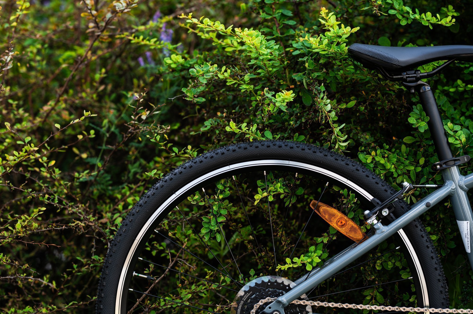 Велосипед GIANT ARX 26 Cobalt