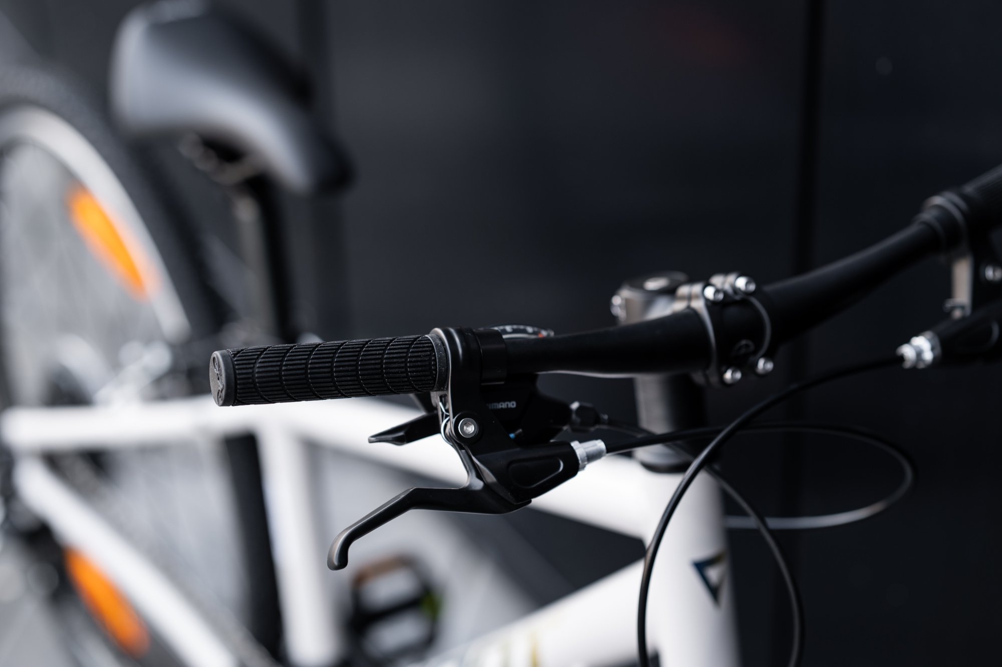 Велосипед GIANT ARX 24 Mushroom