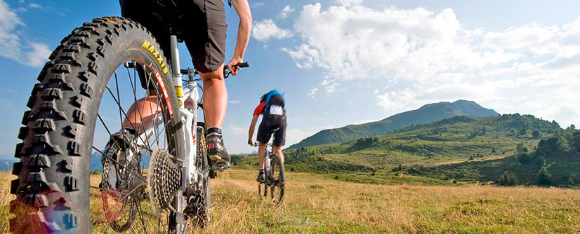 great-mountain-bike-trails-in-val-venosta-413-1200x485-c-x50-y50.jpg