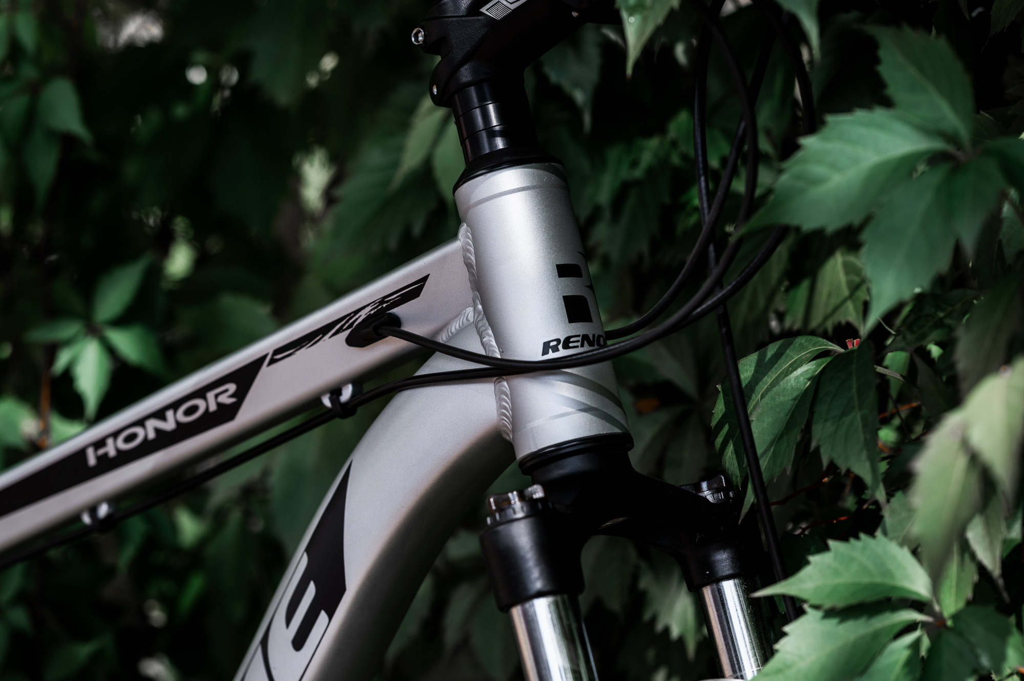 Велосипед RENOME HONOR 29"