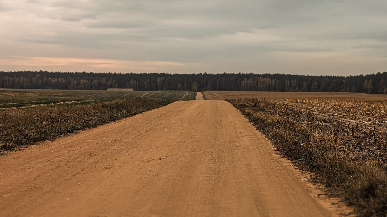 Цнянский лесогрэвел G25