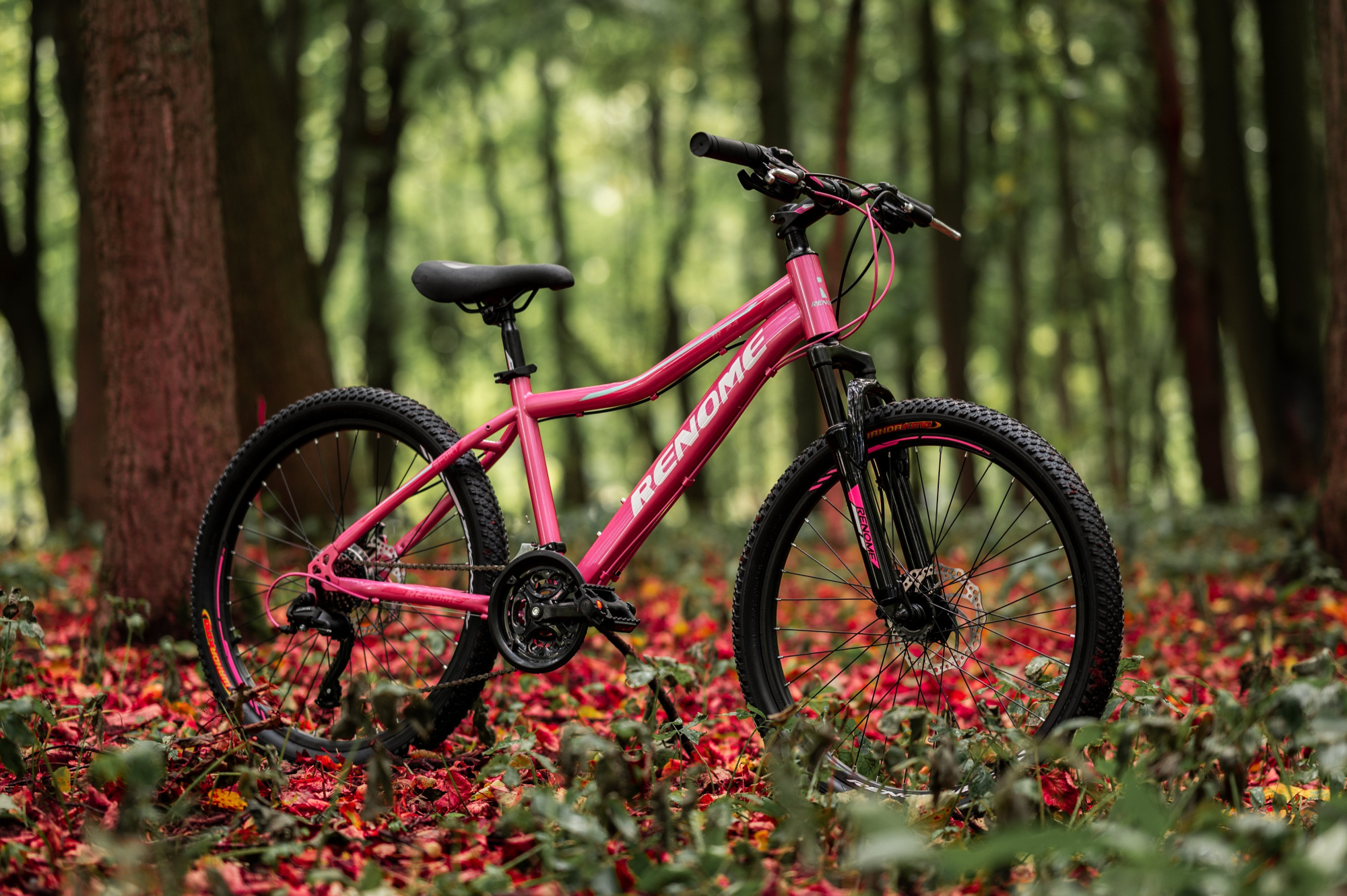 Велосипед RENOME JR 24