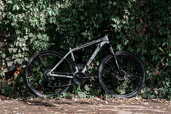 Велосипед RENOME HONOR 29"